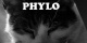 Sono Phylo, la tessera (23,7) nel puzzle  MUSICISTI.